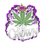 Tree Crown